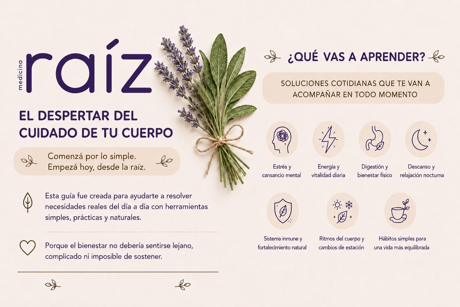 🌿 Medicina Raíz — Guía Práctica Digital | Colección Completa