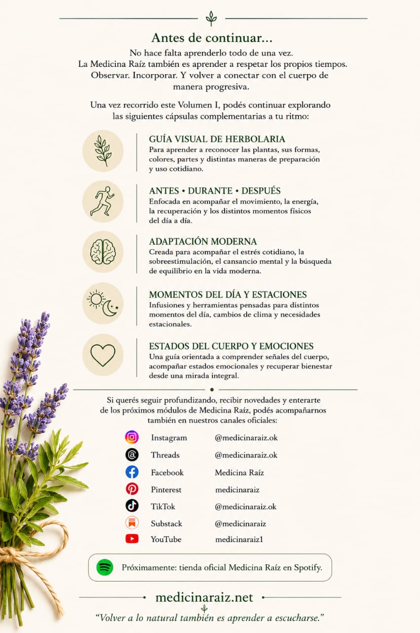 🌿 Medicina Raíz — Colección Completa Digital